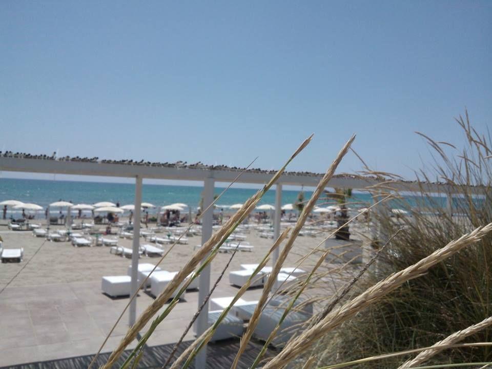 Agrumare Farm Holiday Marina Di Pisticci Buitenkant foto